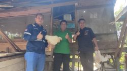 Bantuan CSR PT ANTAM Tbk UBPN Konawe Utara Dongkrak Ekonomi Peternak Ayam Desa Awila